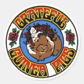 感謝モルモット ラウンドシール