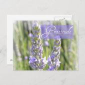 感謝ラベンダーフローラポストカード ポストカード (正面/裏面)