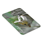 感謝リス マグネット (右側)