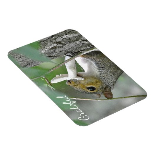 感謝リス マグネット (右側)