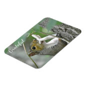 感謝リス マグネット (左側)