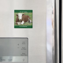 感謝与えのマグネットの鳥よ