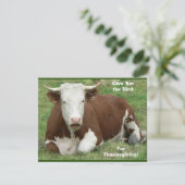 感謝与えの気持ちを持って来た鳥よ!ZSSG,休日 シーズンカード (スタンド正面)