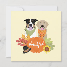 感謝犬感謝祭ハーベストカボチャ