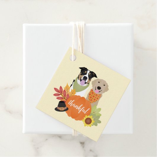 感謝犬感謝祭ハーベストカボチャ フェイバータグ (インサイチュ)