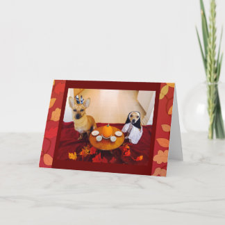 感謝犬 シーズンカード