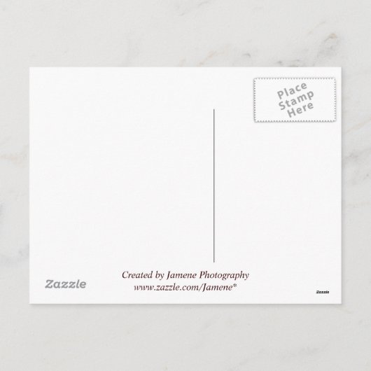 感謝状のおもしろいはがき シーズンポストカード (裏面)