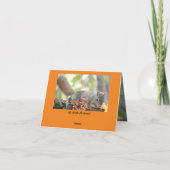 感謝状カードMr. Bickles The Squirrel 5 x 7" サンキューカード (裏面)