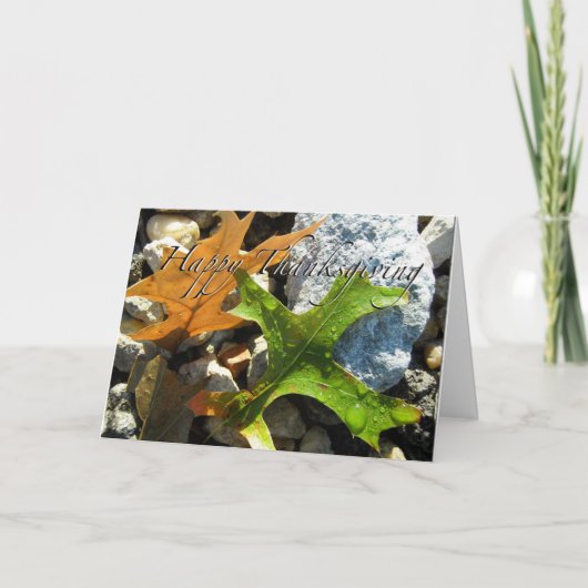 感謝状グリーティングカード シーズンカード (正面)