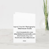 感謝状 シーズンカード (裏面)