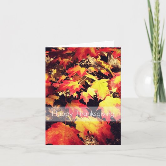 感謝状 シーズンカード (正面)