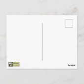 感謝祭おめでとう。ヴィンテージポストカード ポストカード (裏面)