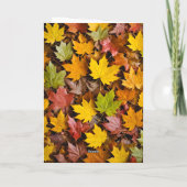 感謝祭おもしろいトルコパーティー カード (裏面)