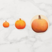 感謝祭かぼちゃのテーブル紙吹雪 コンフェッティ (正面)