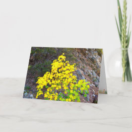 感謝祭と秋カード4 シーズンカード