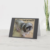 「感謝祭に会いたい」 カード (正面)