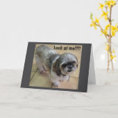 「感謝祭に会えなくて残念」 カード (黄色い花)