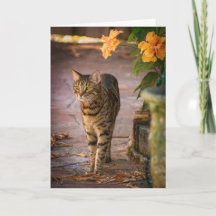 感謝祭のカードに猫と秋の花