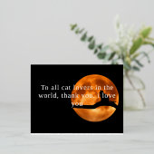 感謝祭のカード猫好き 箔シーズンポストカード (立ち正面)