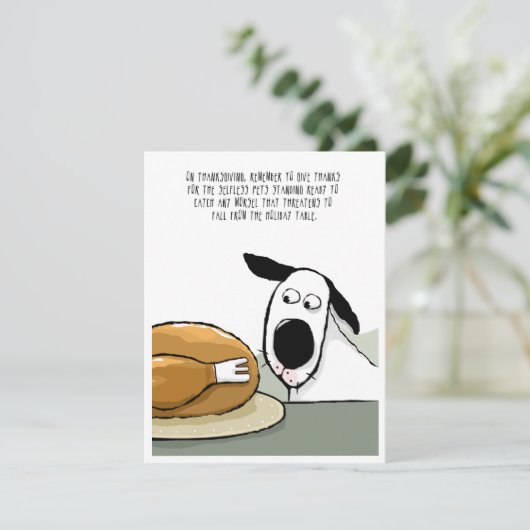感謝祭のトルコ救済が家族の犬から シーズンカード (スタンド正面)