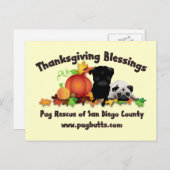 感謝祭のパグのティーおよびギフト- 4つのスタイル シーズンポストカード (正面/裏面)