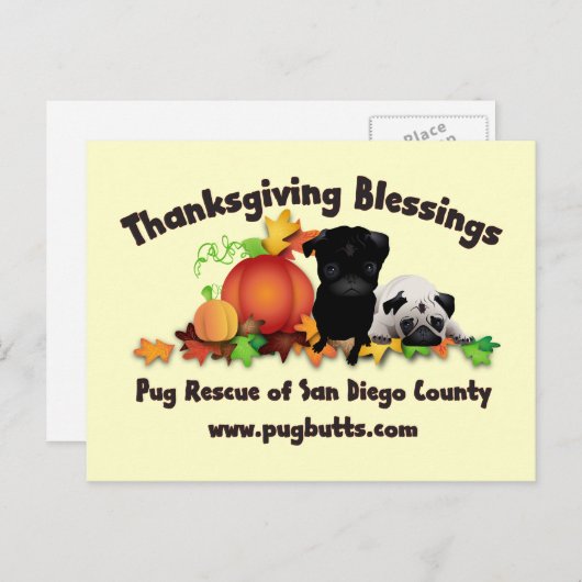 感謝祭のパグのティーおよびギフト- 4つのスタイル シーズンポストカード (正面/裏面)