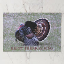 感謝祭のワイルドターキー紙皿敷き