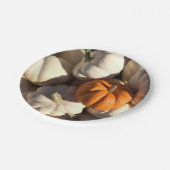 感謝祭の夕食のカボチャ収穫 ペーパープレート (アングル)