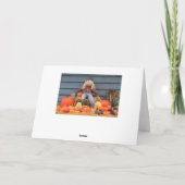 感謝祭の挨拶状 シーズンカード (裏面)