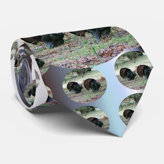 感謝祭の日野生の七面鳥が野原に ネクタイ (ロール)