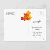 感謝祭の秋の秋葉の秋の花とカボチャ シーズンポストカード (裏面)