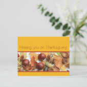 感謝祭の群葉を恋しく思います シーズンポストカード (スタンド正面)