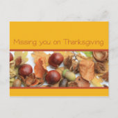 感謝祭の群葉を恋しく思います シーズンポストカード (正面)