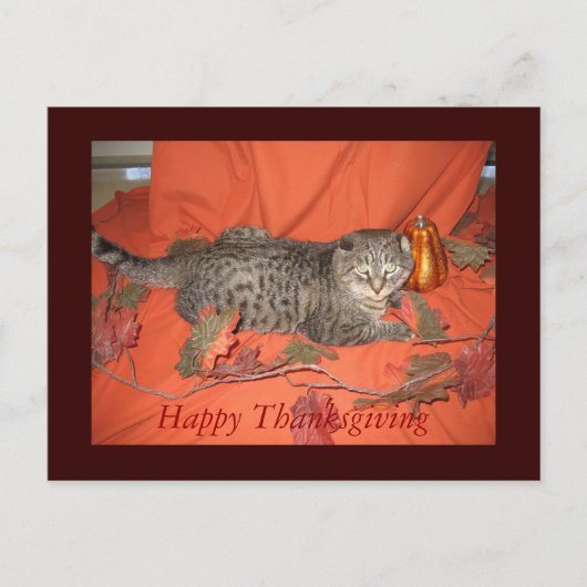 感謝祭の郵便はがき シーズンポストカード (正面)