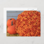 感謝祭の郵便はがき(文字無し) シーズンポストカード (正面/裏面)