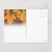 感謝祭はがき シーズンポストカード (裏面)