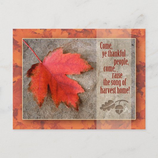 感謝祭はがき シーズンポストカード (正面)