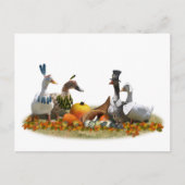 感謝祭アヒル-ピルグリムス&インディアン シーズンポストカード (正面)