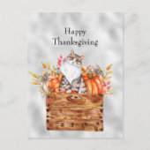 感謝祭オレンジカボチャ猫フローラ シーズンポストカード (正面)