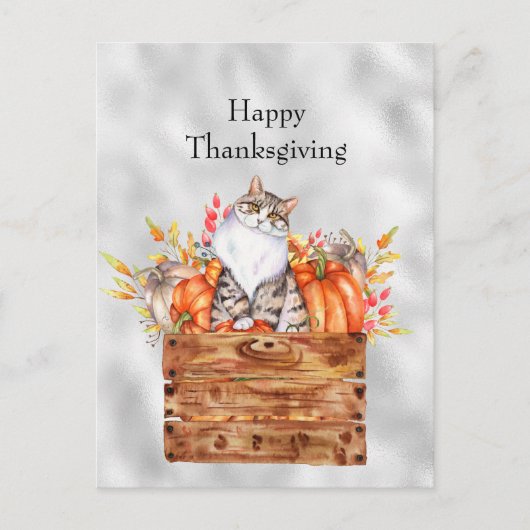 感謝祭オレンジカボチャ猫フローラ シーズンポストカード (正面)