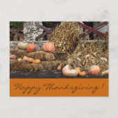 感謝祭オレンジカボチャ素朴はがき ポストカード (正面)
