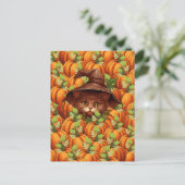 感謝祭カボチャかわいい猫 ポストカード (スタンド正面)