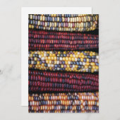 感謝祭カードx7 シーズンカード (正面/裏面)