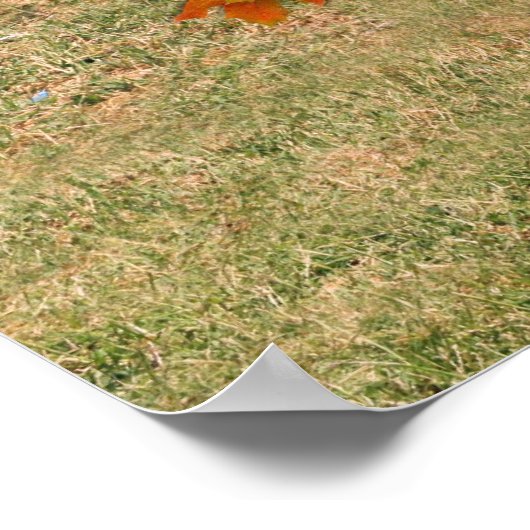 感謝祭ダック ポスター (角)