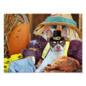 感謝祭チワワ犬 フォトプリント            (正面)