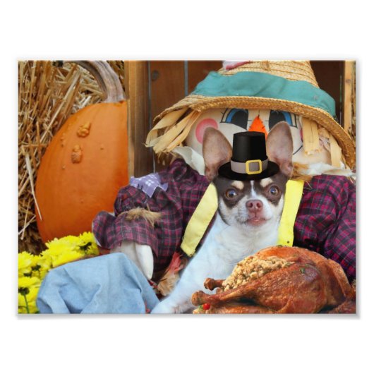 感謝祭チワワ犬 フォトプリント            (正面)