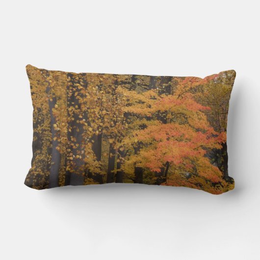 感謝祭トルコ紅葉リバーシブルピロー ランバークッション (裏面)