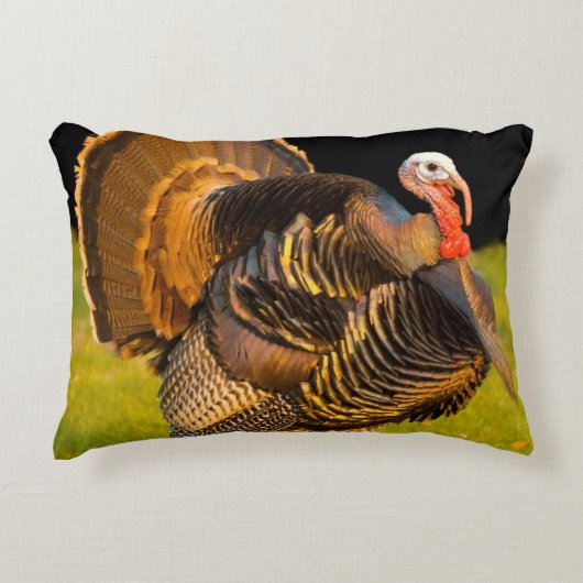 感謝祭トルコ アクセントクッション (正面)