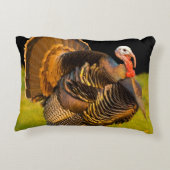 感謝祭トルコ アクセントクッション (裏面)