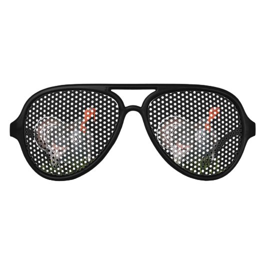 感謝祭トルコ アビエーターサングラス (正面)